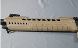 Typhoon Defense ~ XII ~ 12 Gauge - 8 of 13