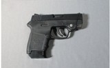 Smith & Wesson ~ Bodyguard 380 ~ .380 ACP - 1 of 2