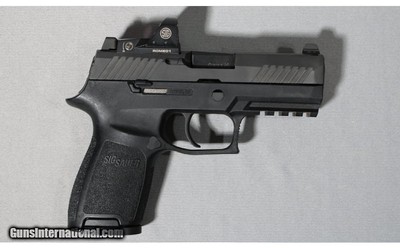 Sig Sauer ~ P320 ~ 9mm