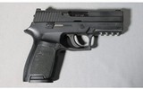 Sig Sauer ~ P250 ~ .357 Sig