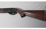 Remington ~ Nylon 66 ~ .22 LR - 5 of 5