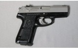 Ruger ~ P95 ~ 9mm
