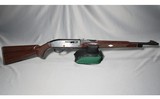 Remington ~ Nylon 77 ~ .22 LR