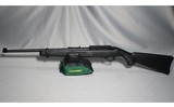 Ruger ~ 10/22 ~ .22 LR - 2 of 2