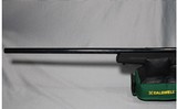 Savage ~ A17 ~ .17HMR - 4 of 5