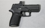 Sig Sauer ~ P320 ~ 9mm - 1 of 2