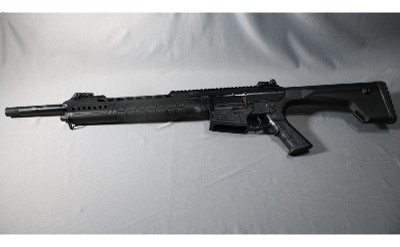 Typhoon Defense ~ XII ~ 12 Ga