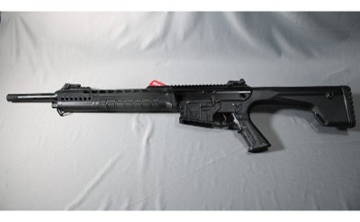 Typhoon Defense ~ XII ~ 12 Ga