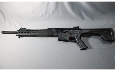 Typhoon Defense ~ XII ~ 12 Ga