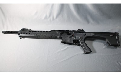 Typhoon Defense ~ XII ~ 12 Ga