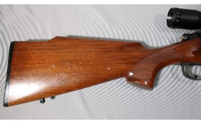 Remington ~ 700 ~ .30-06 Springfield