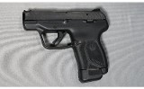 Ruger ~ LCP Max ~ .380 ACP
