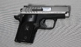 Springfield Armory ~ 911 ~ .380 ACP - 1 of 2