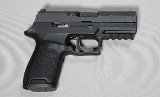 Sig Sauer ~ P320 ~ 9mm - 1 of 2