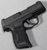 SIG Sauer ~ P365 ~ 9mm