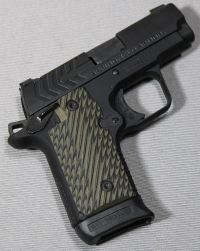 Springfield ~ 911 ~ .380 Auto