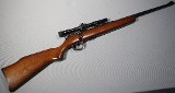 Marlin ~ 25N ~ .22 Long Rifle - 1 of 14