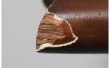 Savage ~ Model 99 ~ .303 Savage - 15 of 15