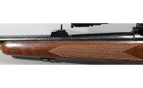 Winchester ~ Model 70 ~ .270 Winchester - 9 of 13