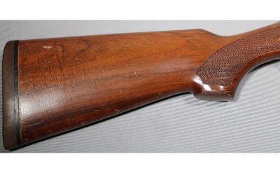 Lanber ~ Expulsor ~ 12 Gauge - Image 2 of 14
