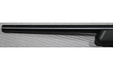 Ruger ~ 10/22 ~ .22 Long Rifle - Image 10 of 12