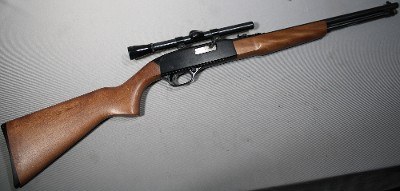 Winchester ~ Model 190 ~ .22 Long & Long Rifle - Image 1 of 13