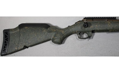 Ruger ~ American Gen II Predator ~ .204 Ruger - Image 2 of 10