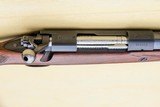 Winchester Model 70 pre-64 458 Winchester Magnum - 6 of 12