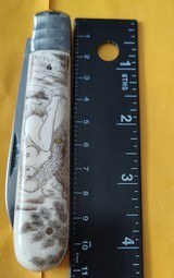 Otter Gebr Bern's Solingen Germany, scrimshawed nude folding knife - 6 of 8