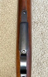 Chilean 1895 Mauser, Loewe Berlin, Antique, Excellent All Matching Numbers! - 16 of 19
