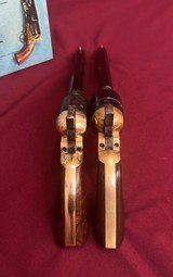 Pietta 1851 Navy Brass Frame 44 Cal & 36 Cal Black Powder Pistols 7.375" Blued - 13 of 15