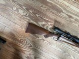 Ruger M77 Mannlicher/ International
243 Win. - 5 of 6