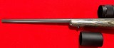 Ruger 77/17 .17 HMR - 8 of 11