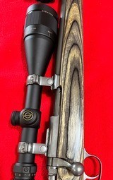 Ruger 77/17 .17 HMR - 3 of 11