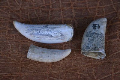 3 antique Whale Teeth, two are engraved one is not engraved.