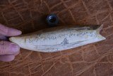 3 antique Whale Teeth, two are engraved one is not engraved. - 8 of 8