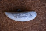 3 antique Whale Teeth, two are engraved one is not engraved. - 5 of 8
