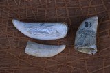 3 antique Whale Teeth, two are engraved one is not