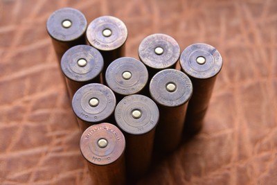 10 ga Brass shells 23 pcs total, 20 Winchester 3 1/4