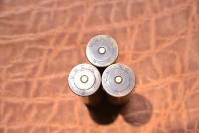 10 ga Brass shells 23 pcs total, 20 Winchester 3 1/4