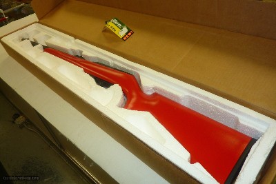 REMINGTON 597 DALE EARNHART JR # 8 22 CAL SEMI AUTO RIFLE