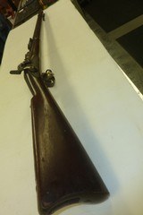 Springfield Armory 1884 45-70 trap door rifle - 14 of 15