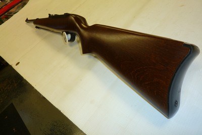 Ruger 10-22 22 WMR
semi auto rifle