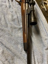 Winchester Model 70 Supergrade .243 Winchester - 8 of 9