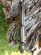 COLT SINGLE ACTION ARMY, 44 - 40, BLUE, 4 3/4" BARREL, MANUFACTURED 1905, EL PASO SHIPPED - 5 of 14