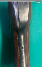 12ga Parker GHE - 8 of 14