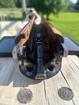 Pre-Owned Zoli XL Evo 12ga Fixed Choke 34