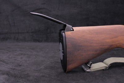 Springfield Armory M1A .308 Win 22