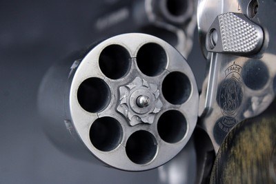 Smith & Wesson 686-6 .357 Magnum 3