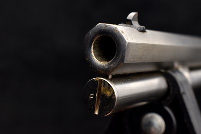 Rossi Puma M92 Stainless Octagon .44 Mag 24